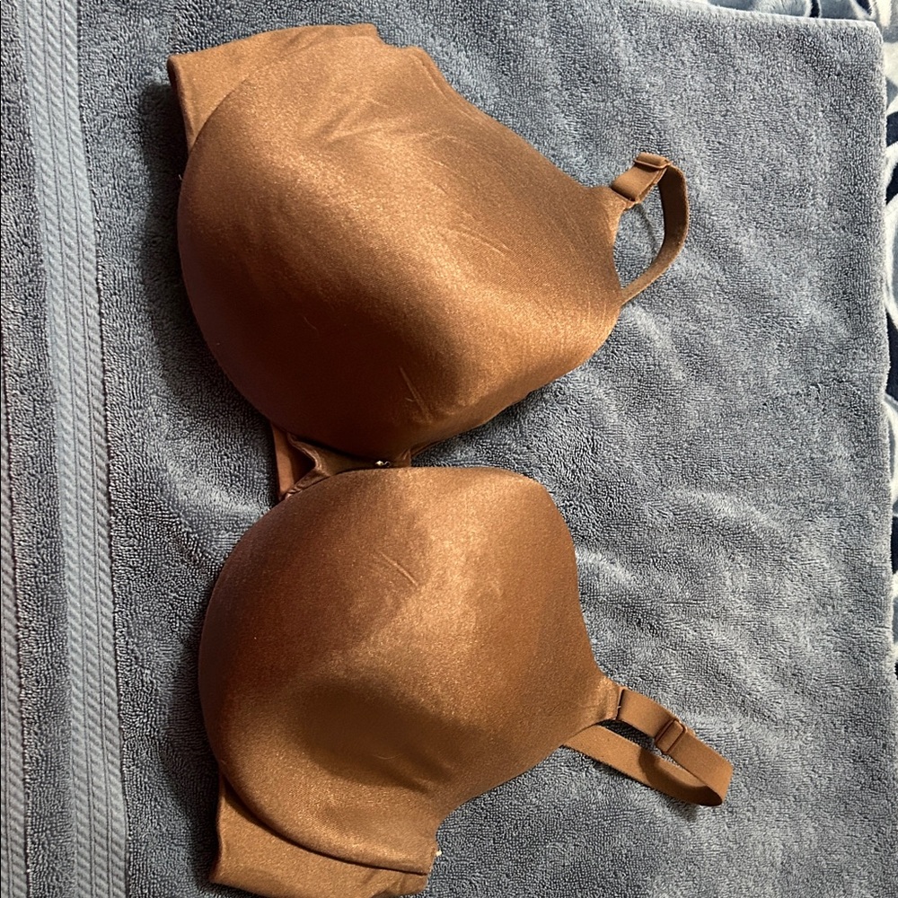 Cacique Rich Brown Women's Bra